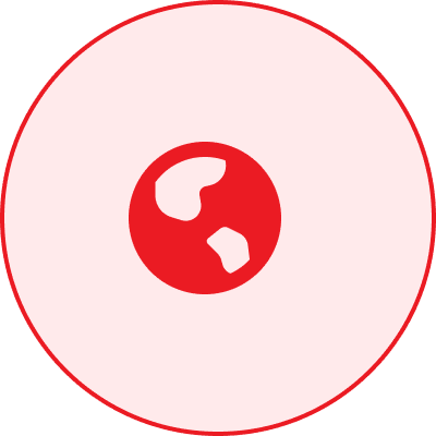 A red and white stylized globe icon with undefined landmasses in a circle, centered against a light pink background with a red border.